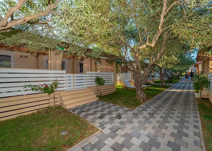 Camp Port Кемпинг